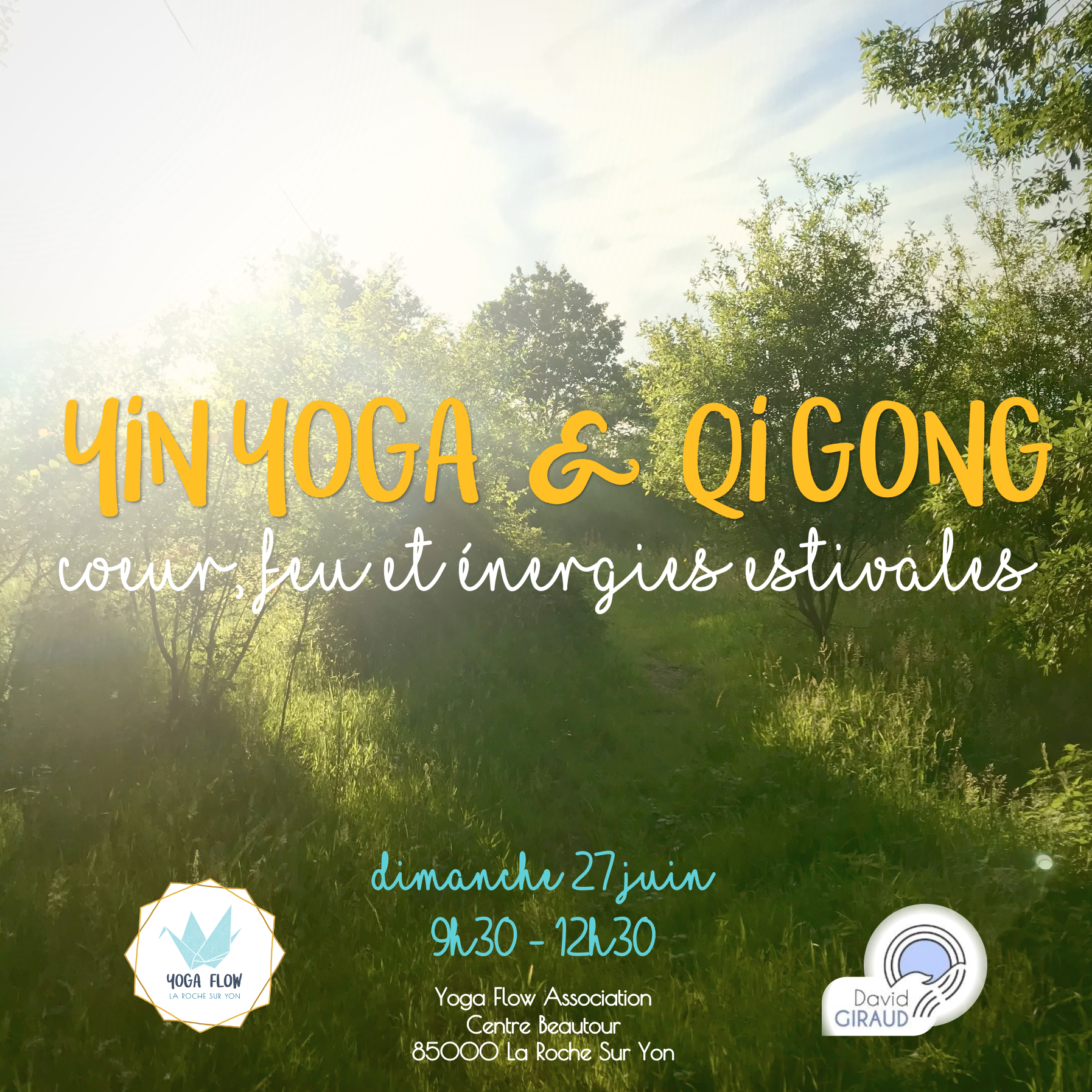 Atelier Yin Yoga et Qi Gong La Roche sur Yon Yoga Flow