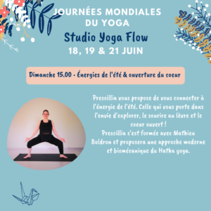 Dimanche 19 Hatha Yoga