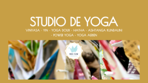 Vinyasa, Yin, Yoga doux, Hatha, Ashtanga, Kundalini, Power Yoga, Yoga Aérien