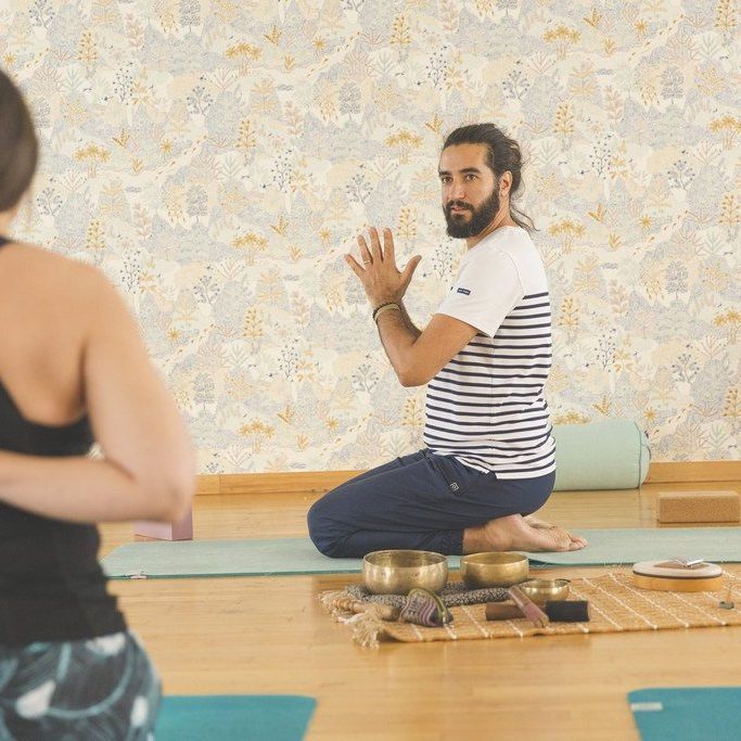 Yoga La Roche sur Yon Vendée Cours Vinyasa Yin Studio Débutant