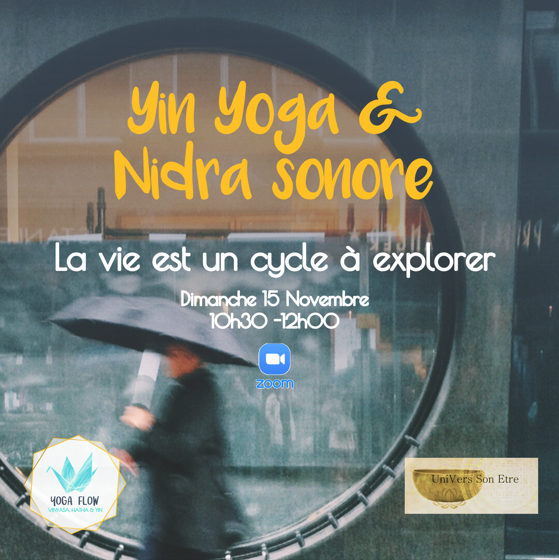 Atelier Yin Yoga et Nidra en ligne Yoga Flow with Rémy La Roche sur Yon